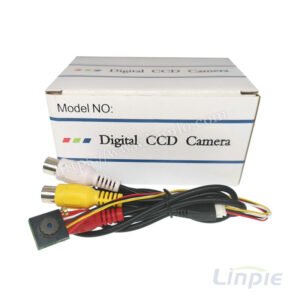 Nanny Camera